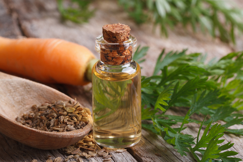 Carrot Seed Oil - Your natural beauty secret