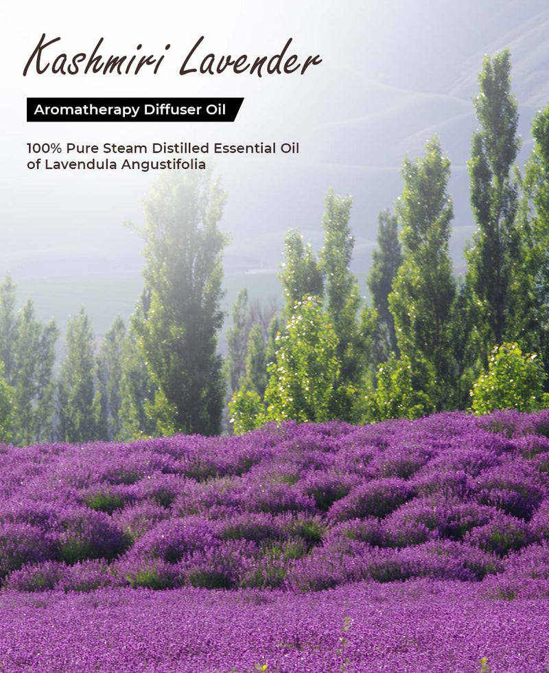 Kashmiri Lavender Aromatherapy Diffuser Oil(7024794108109)